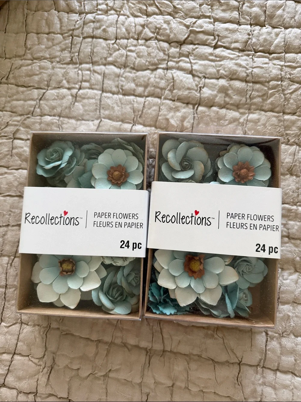 Recollections Mint Blue Paper Flower Packs with Brown Centers